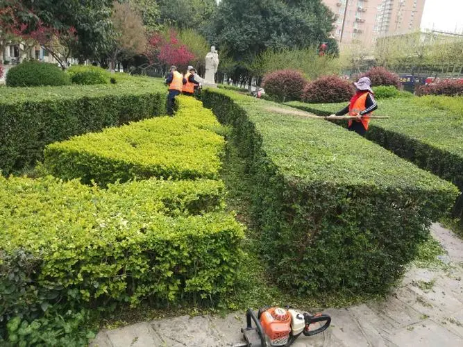 淮滨高速路口绿化工程项目