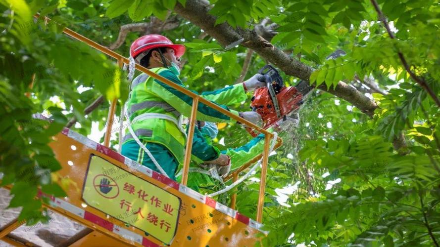 大片空地园林景观设计