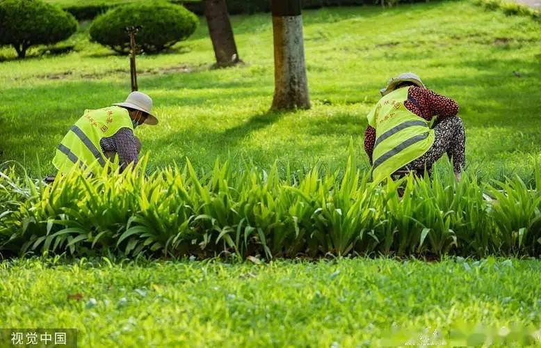 大象园林景观设计