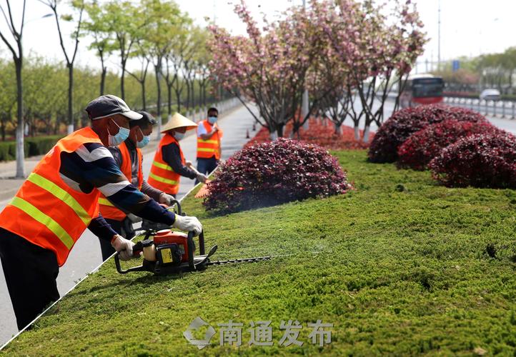 2024风景与园林专业要学什么